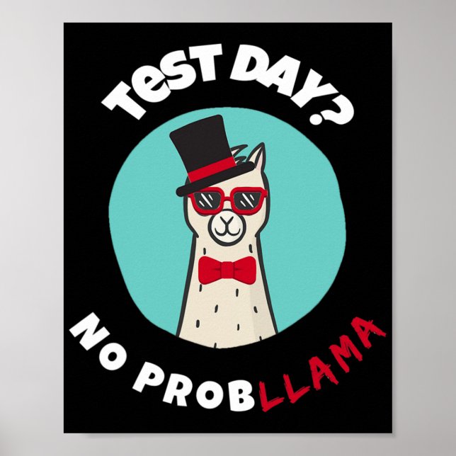 Day No Probllama Funny Testing Llama Design Poster (Vorne)