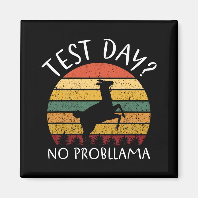 Day No Probllama Staat Testing Lehrer Student Boy Magnet (Vorne)