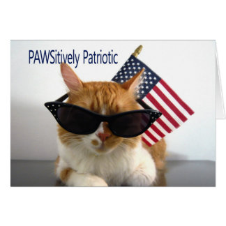 Day Präsidenten - PAWSitively patriotische Katze