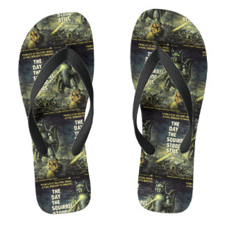 Day the Squirrel Stood Still   Flip Flops