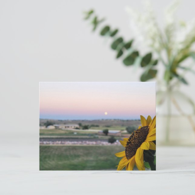 Daydream at Dusk Sunflower Prarie Carte postale (Debout devant)