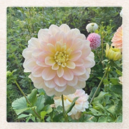 Daydreamer Dahlia, Light Pink Blume Glasuntersetzer