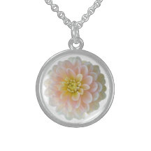 Daydreamer Dahlia, rosa Blume