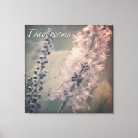 Daydreams Mountain Holly