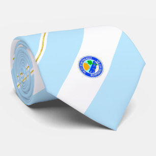 Daytona Beach (Florida) Stadtflagge Neck Tie Krawatte