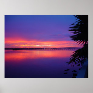 Daytona Fluss-tropisches Poster