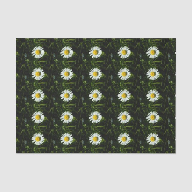 Dazzing Daisy Tissue Paper Seidenpapier (Vorderseite)
