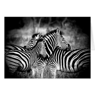 Dazzle of Zebra Penser à vous Personnalisé à l'int