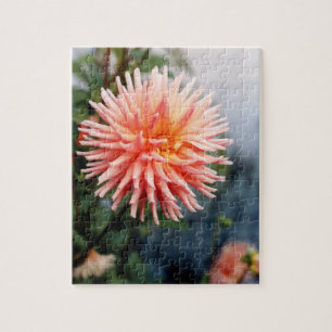 Dazzling Dahlia Blume