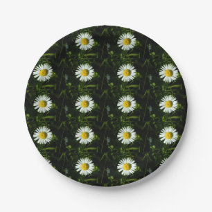 Dazzling Daisy Paper Plate Pappteller