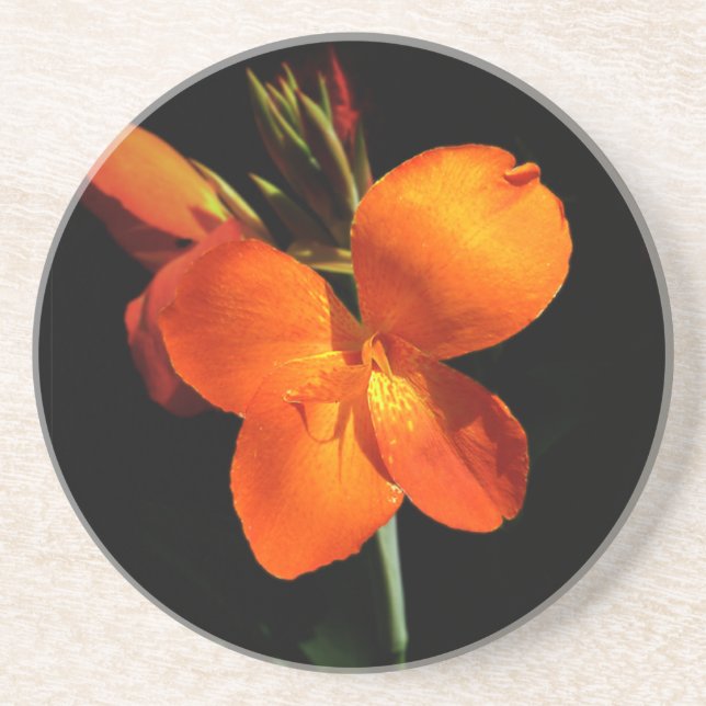 Dazzling Orchid Sandstone Untersetzer (Vorne)