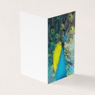 Dazzling Peacock - Blankomarke Set