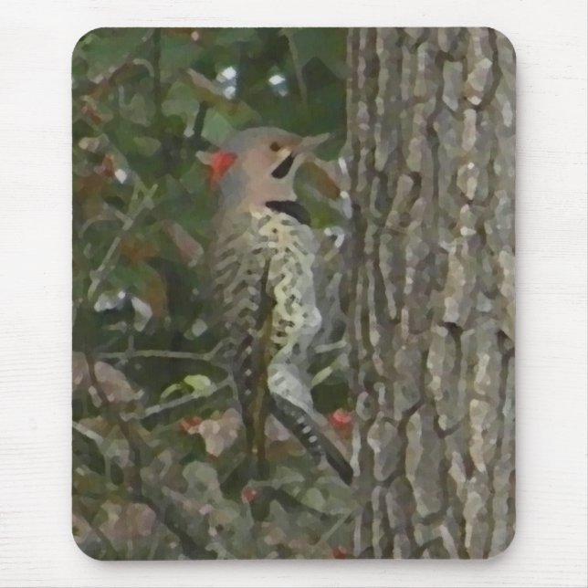 DC, Aufflackern-Specht-Vogel Mousepad (Vorne)