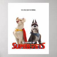 DC League of Super-Pets Theatrical Art