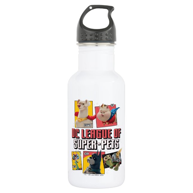 DC Liga der Super-Pets Charakterpanels Edelstahlflasche (Vorderseite)