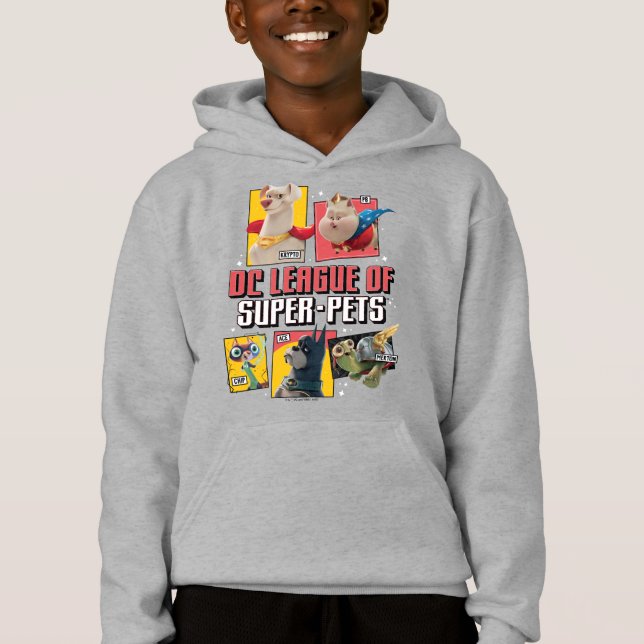 DC Liga der Super-Pets Charakterpanels Hoodie (Vorderseite)
