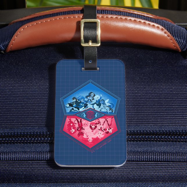 DC Super Hero Girls Teamwork Battle Gepäckanhänger (Vorderseite Insitu 2)