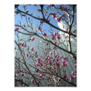 DC-Tempel in den rosa Blumen Fotodruck