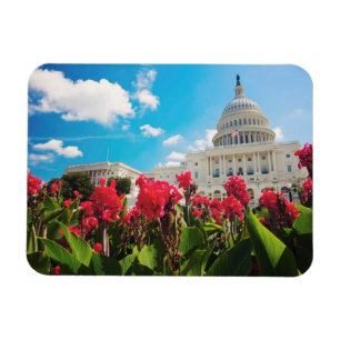 DC USA-, Washington, Hauptstadts-Gebäude Magnet