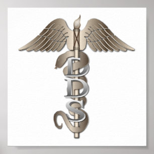 DDS Caduceus Poster