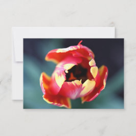 De Correspondance Carte pour notes Tulip