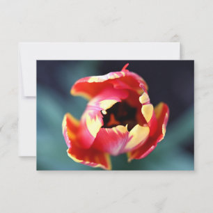 De Correspondance Carte pour notes Tulip