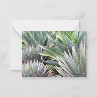 De Correspondance Carte Succulente Agave 'Blue Glow', 'Blue Flame'