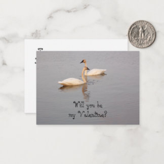 De Correspondance Carte Valentine Swans