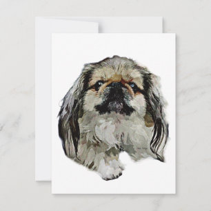 De Correspondance Papier à lettres Pekingese - carte blanche