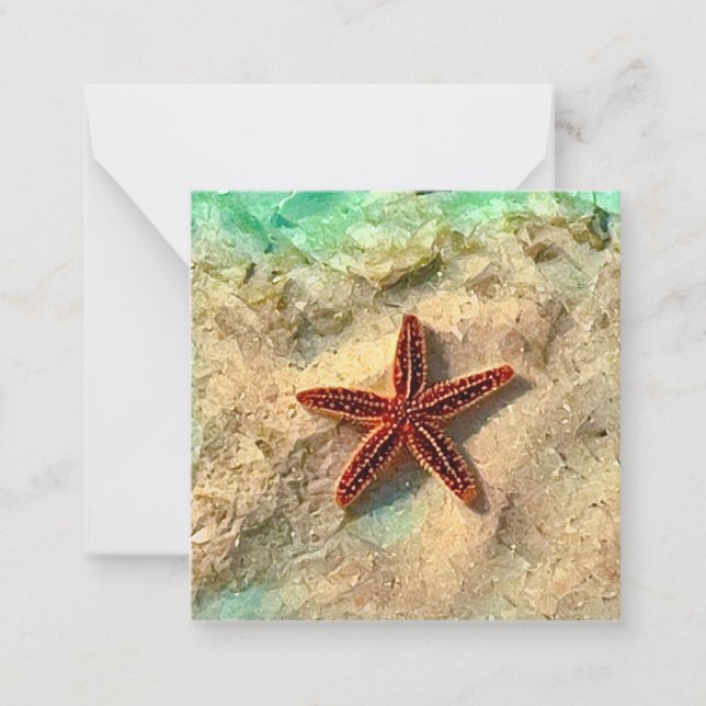De Correspondance Set mini carte pour notes Starfish (Devant)