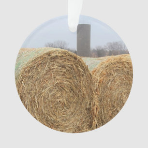 De grandes balles de foin rond dans un champ agric