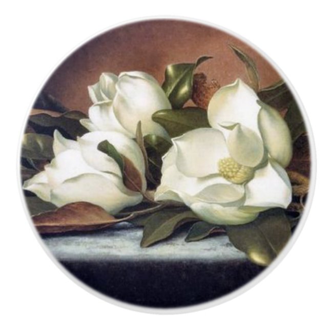 De Heade de magnolia de fleurs toujours bouton de (Devant)