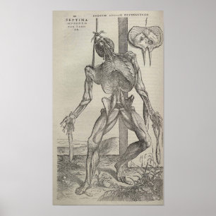 De Humani Corporis Poster