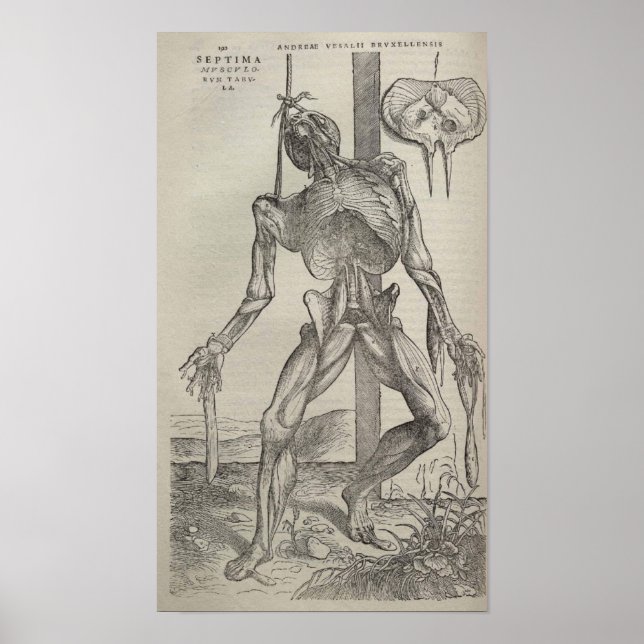 De Humani Corporis Poster (Vorne)