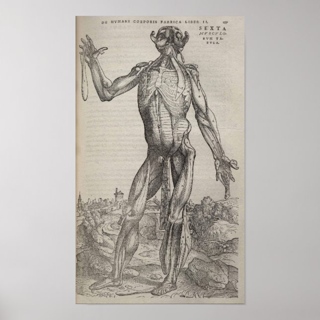 De Humani Corporis Poster (Vorne)