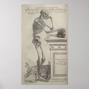 De Humani Corporis Poster