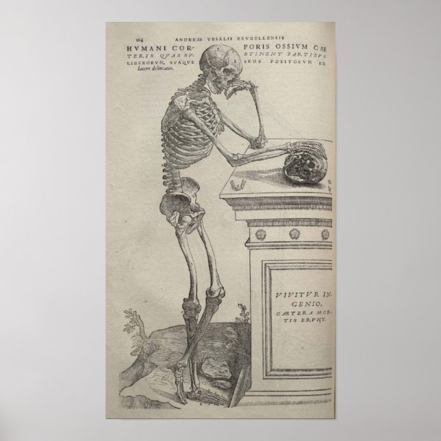 De Humani Corporis Poster (Vorne)