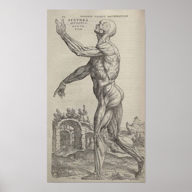 De Humani Corporis Poster (Vorne)