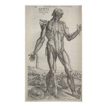 De Humani Corpris