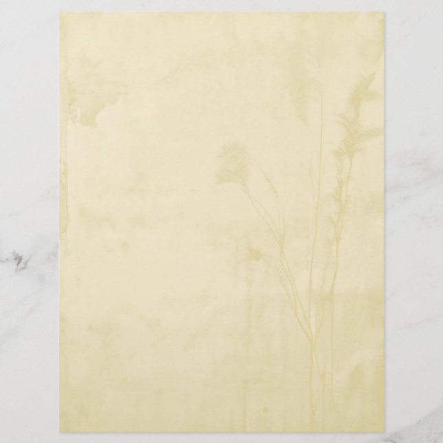 De Lettre En-tête papier Boho (Devant)