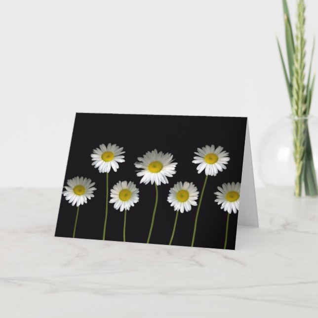 De marguerites carte de voeux en abondance (Devant)