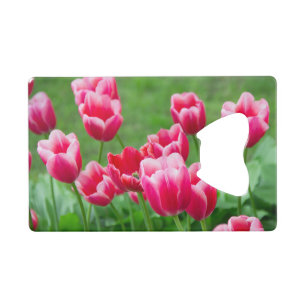 De mignonnes tulipes écarlate dans le jardin