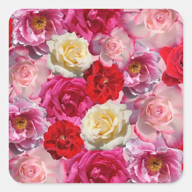 de nombreux autocollants rose (Devant)