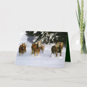 De Notre Troupeau Au Vôtre Carte Photo De Vœux