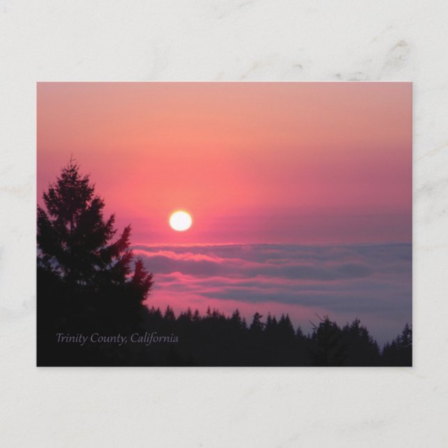 De nouveau en paix.... carte postale (Devant)