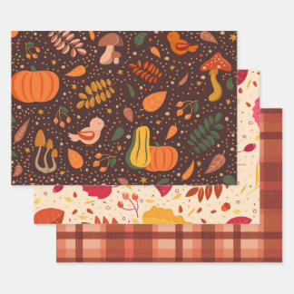 De Papier Cadeau Automne Citrouille et Feuille Envelopper un ensemb