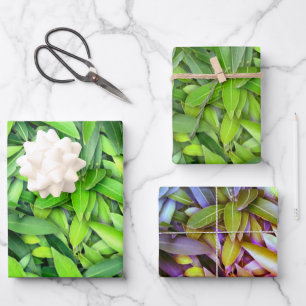 De Papier Cadeau Motif Feuille verdoyant - Nature Botanique