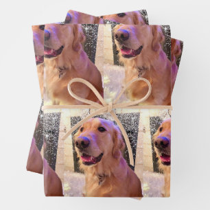 De Papier Cadeau Nova the Golden Retriever - Envelopper des feuille