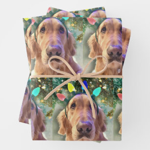 De Papier Cadeau Nova the Golden Retriever - Envelopper des feuille