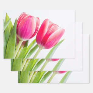 De Papier Cadeau Tulipes roses avec Feuille vert photo